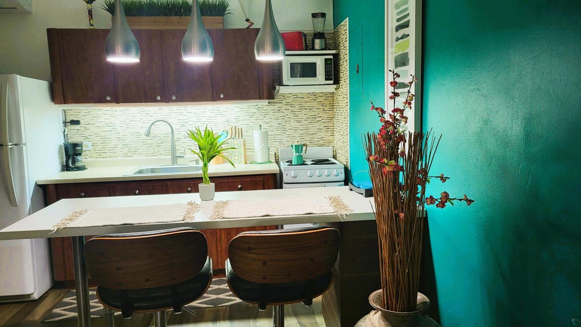 Cozybeach Large 1Bdrapt 50 Steps From Atlantic Ocean Private Street Between Ocean Park & Isla Verde 5 Mins From Airport San Juan Ngoại thất bức ảnh
